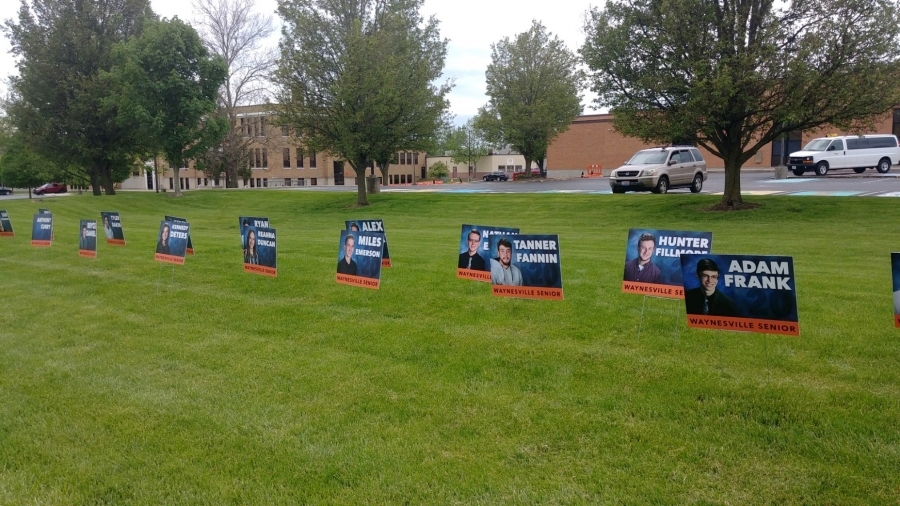 yard signs in a row